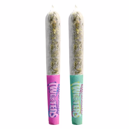 Rizzlers - Twisters - Melon Madness & Kiwiberry Infused Pre-Roll