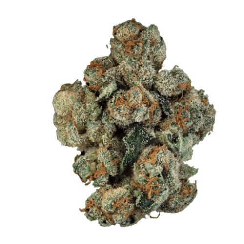 Steel City Green - Space Travel Kush