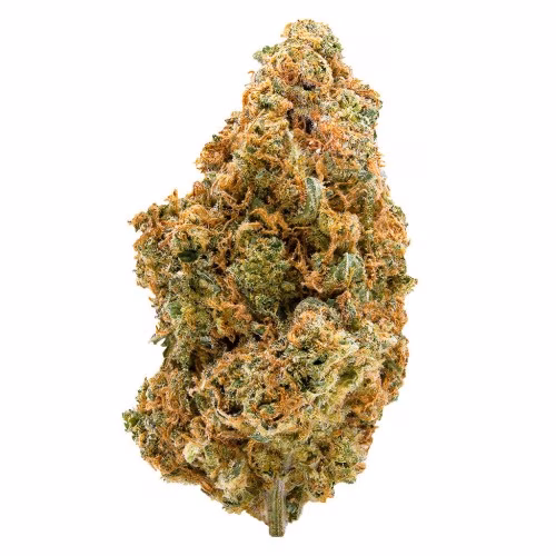 Spinach - Sonic Lemon Fuel