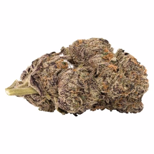 5 Points Cannabis - Blueberry Yum Yum