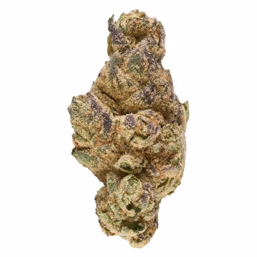 RIFF - Orbital Indica Drop