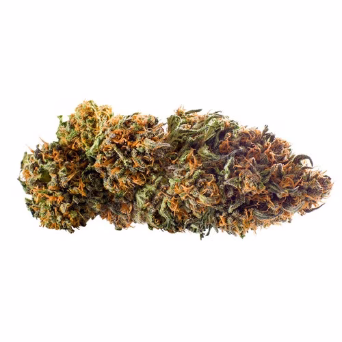 Redecan - Wappa