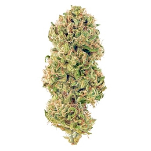 Emerald Health Therapeutics - Huckleberry Haze