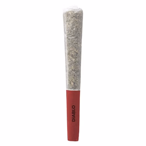 Pistol and Paris - Diablo Pre-Roll