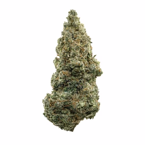 All Nations - Sto:Lo Haze
