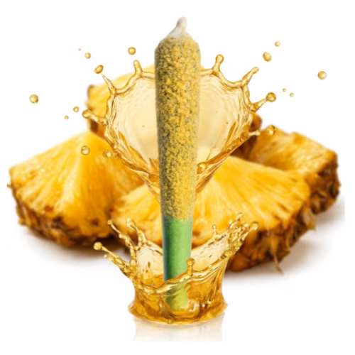 Dab Bods - Pineapple Gone Wild Diamond Dusted Infused Pre-Roll
