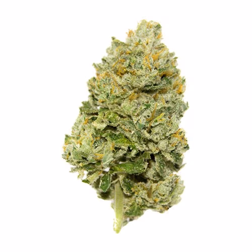 BC Green Crack (Green CRK)