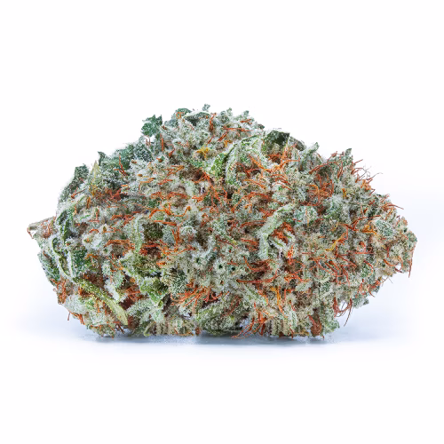The Green Organic Dutchman - Organic Cherry Mints