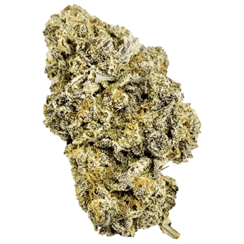 Pandannis Tree Productions - Sunset Sherbet
