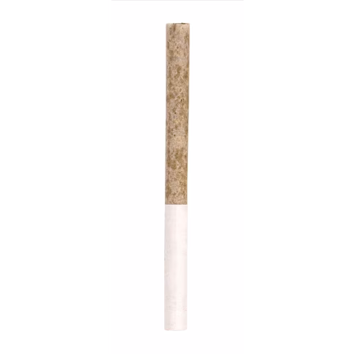 Crooked Dory - Terp Diamond Infused Pre-Roll