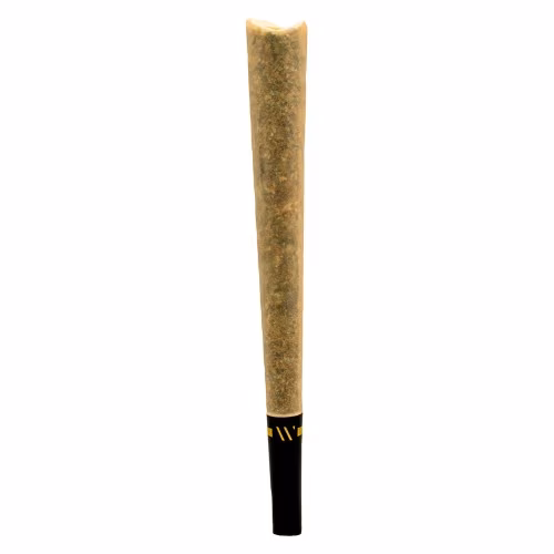 WINK - Lemon Shortcake Ceramic Tip