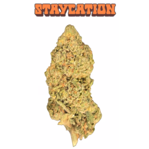 Staycation - Daze Off Pre-Roll