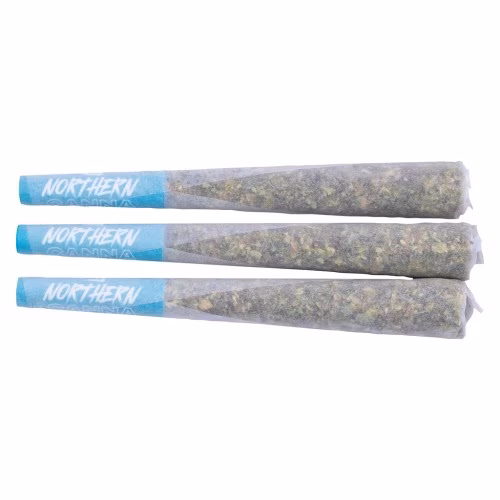 Northern Canna - Hot Rod Pre-Roll