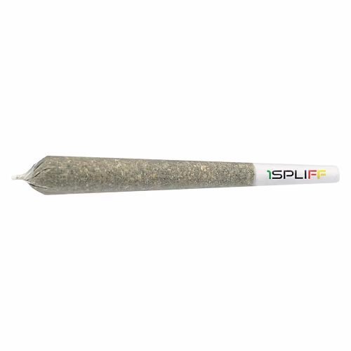 1SPLIFF - Creativity Pre-Roll