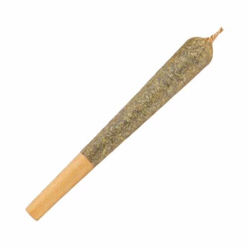 Thumbs Up Indica