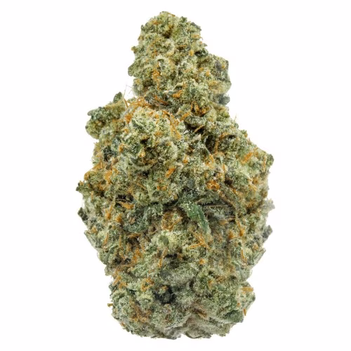 FOUR54 - ICC Jungle Mints