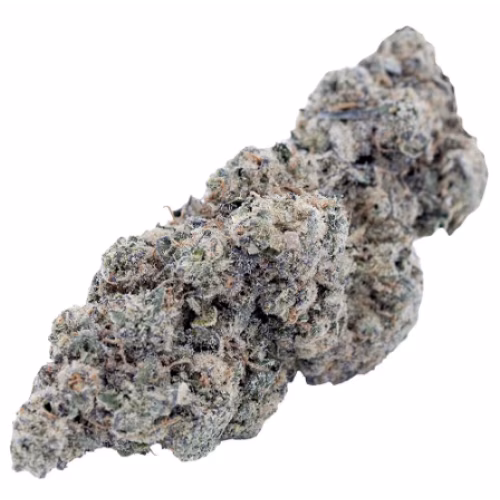 Jenny's Flower - Quad Fire Sativa