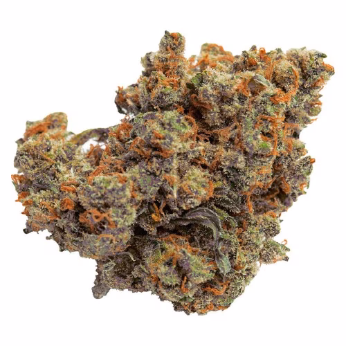 Qwest - Lazer Jet Craft Whole Flower