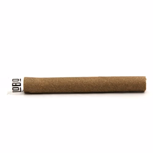 Lobo - Presidente Blunt