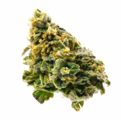 Western Cannabis - Cali Blue Haze