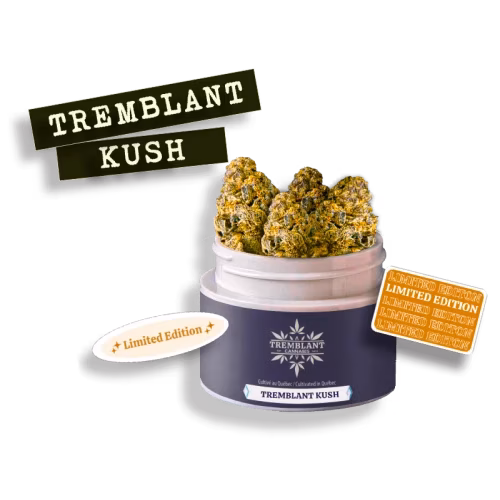 Tremblant - Tremblant Kush
