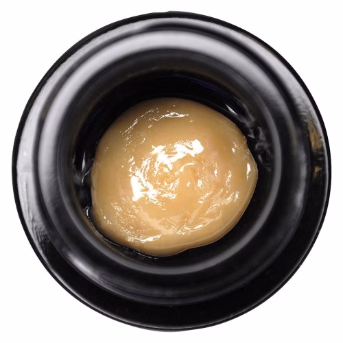 73u Live Rosin (Autumn Sunset)