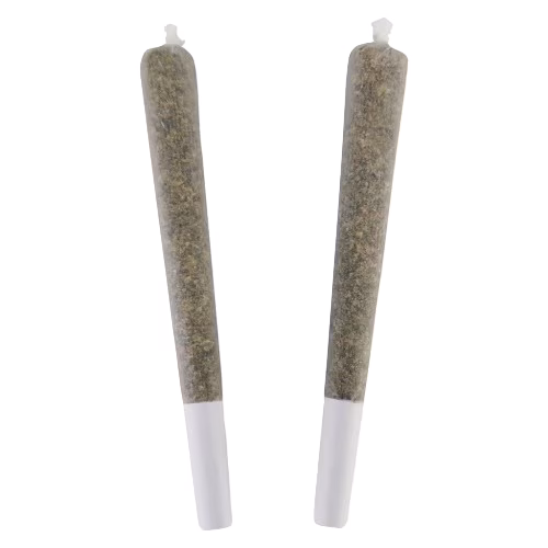 Smoker Farms - Master Kush Ultra