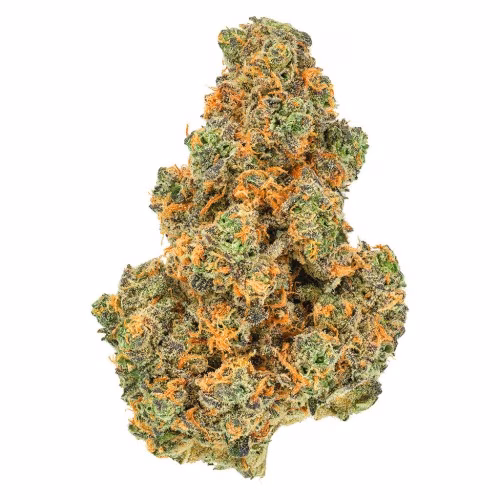 San Rafael '71 - Pink Diesel '71