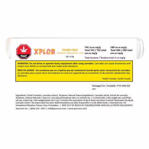 XPLOR - Peach Fuzz Distillate Infused
