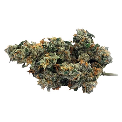 Truro Cannabis - Bluenose Berry