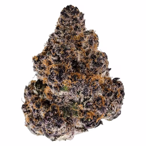 Ghost Drops - GD Exotics