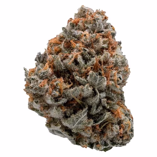 Top Leaf - Black Domina