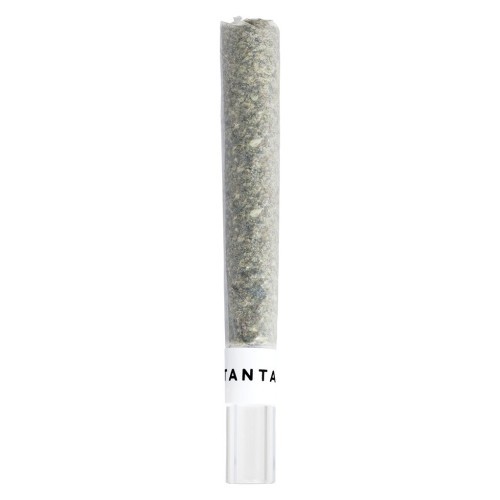 Tantalus Labs - Pacific OG Glass Tip Pre-Roll