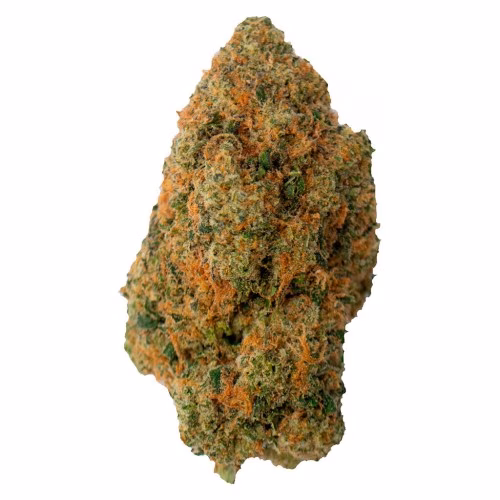 Gas Pack