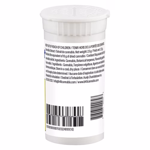 Back Forty - Peach Lemonade Frosted Icicles Infused Pre-Rolls