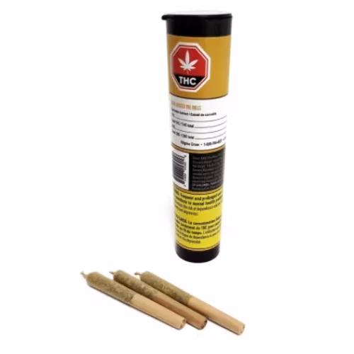 Dab Bods - Diesel Kush