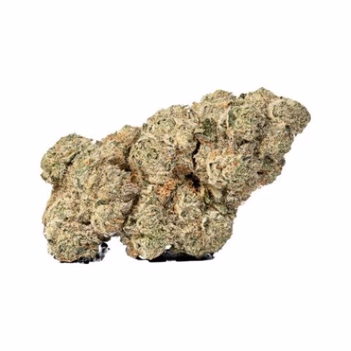 Sheeesh! - Jungle Kush
