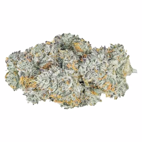 Coterie - Lemon Cherry Gelato