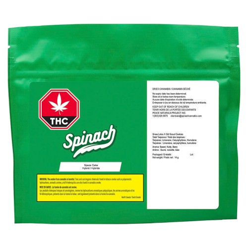 Spinach - Space Cake