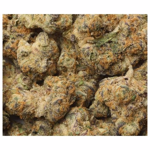 San Rafael '71 - Stonefruit Sunset