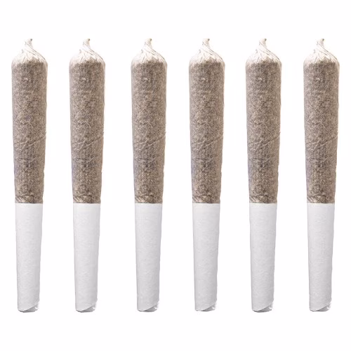 Station House - Northern Lights Pre-Roll