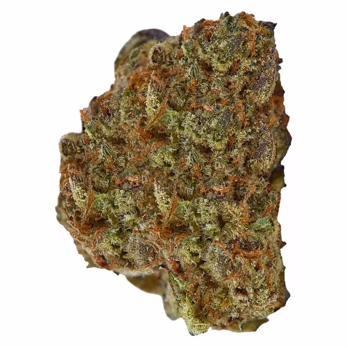 Top Leaf - Second Breakfast (Hydroponic) LTO