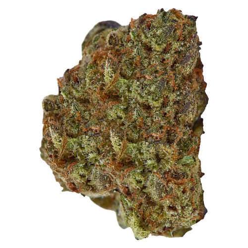 Top Leaf - Second Breakfast (Hydroponic) LTO