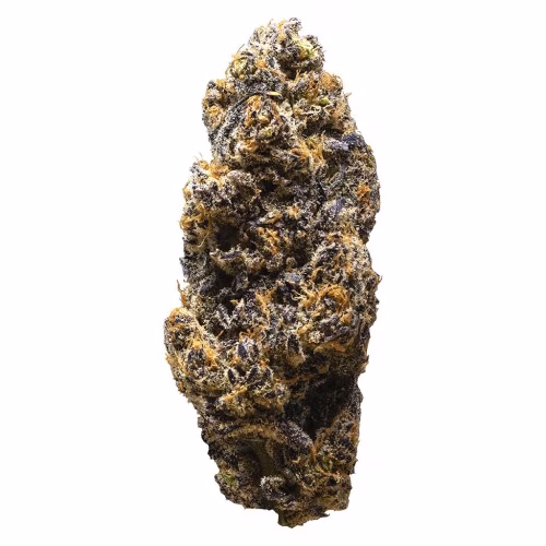 3rd Coast Genetics - Frozen Cola