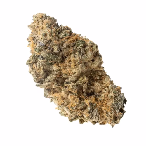 OGEN Ltd. - Peach Chauffeur #15