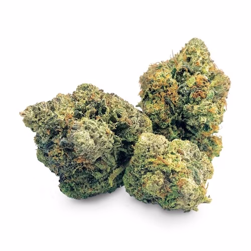 BC Black - Master Kush Ultra