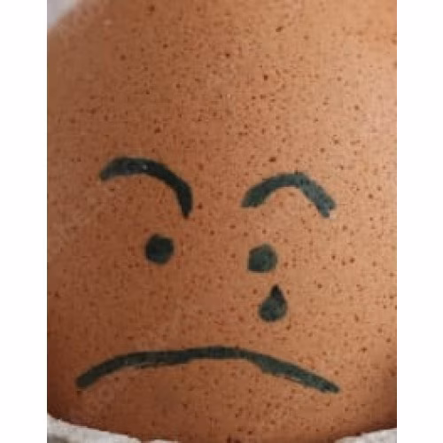 Sad Egg - Greenline Accessory