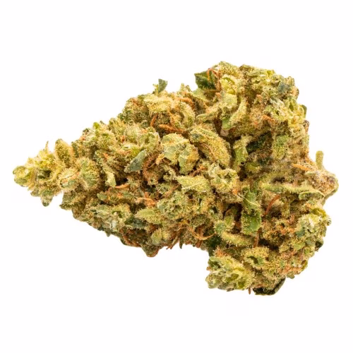 Good Supply - Golden Goat
