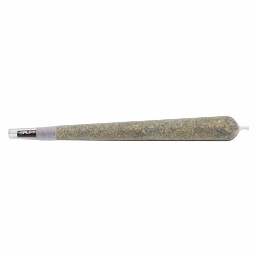 1Spliff Reserve - Javelin Premium Glass Tip