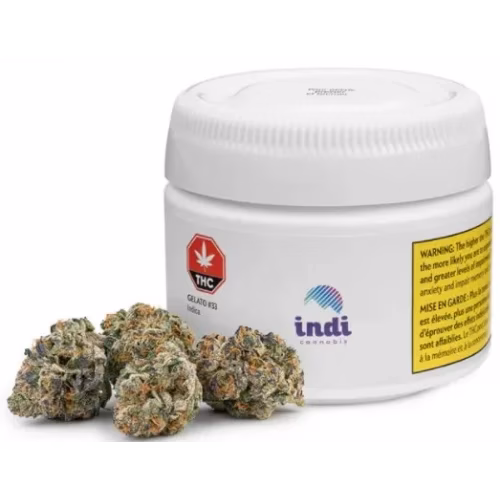 Indi - Gelato #33